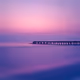 Purple sea.