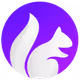 purplesquirrel Collection