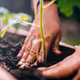 PURPOSE OF LIFE AND NFT'S - old