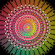 Purpose Vector by John Murphy x Palm Tree NFT