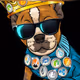 Mr C - CryptoDogs