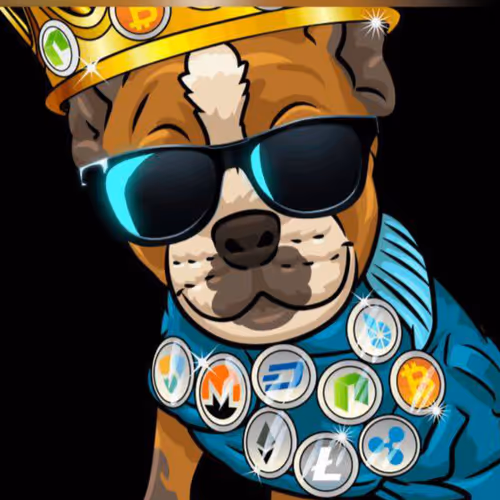Mr C - CryptoDogs
