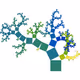 Pythagorean Trees