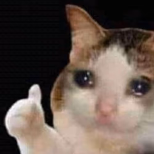 qqcat