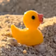 Quack_Unchained