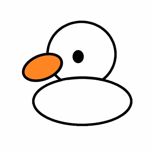 Quackduck project