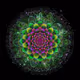 Quantum Metaverse