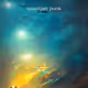 quantum punk