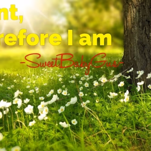 Quote ~SweetBabyGus~