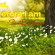 Quote ~SweetBabyGus~