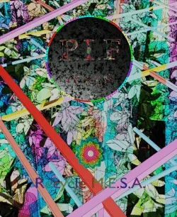 R.M.E.S.A. Launch Collection.