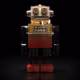 R-Robot VITRINE