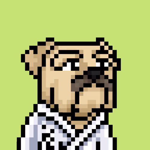 RabidDoge Pixel