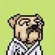 RabidDoge Pixel