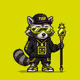 Raccoon Genesis