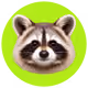 test racoon
