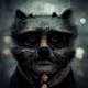 Raccoon Neighborhood
