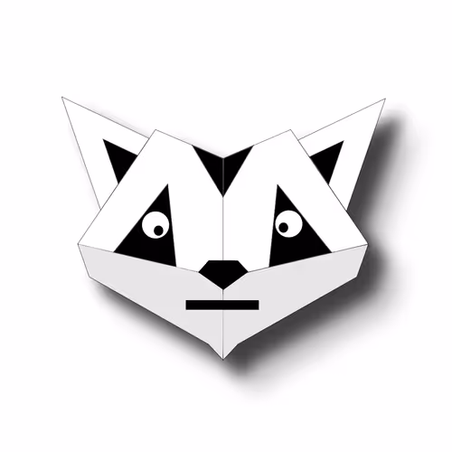 Raccoons Collection