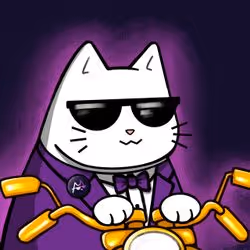 Motocat Racing Nft