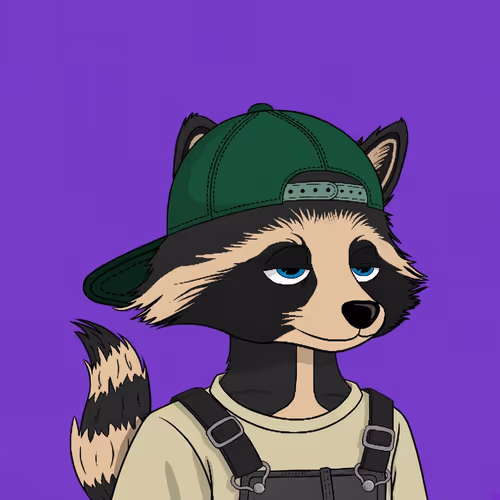 Racoons