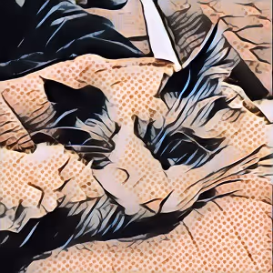 Ragdollchain