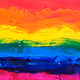 Rainbow Dude Collection