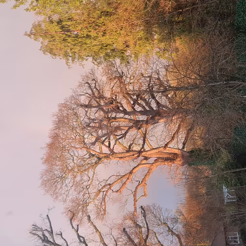 Rainbow - NfZGx9NLKZ - old