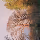 Rainbow - NfZGx9NLKZ - old