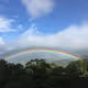 rainbow - YONpRnzNIh