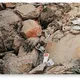 Rana Plaza victims RIP!