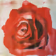 Random_Strokes - old