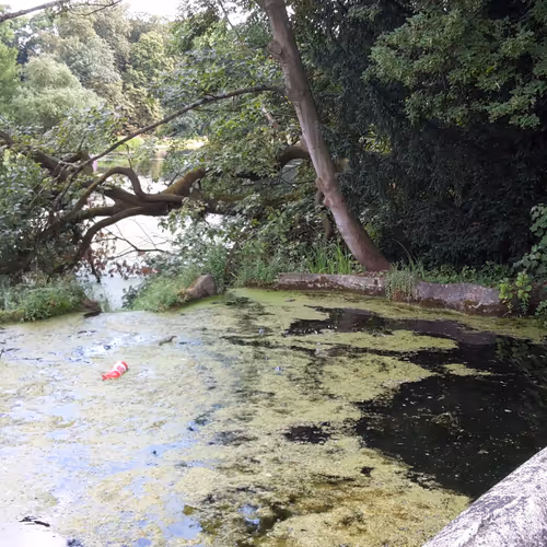 Random Brussels photos