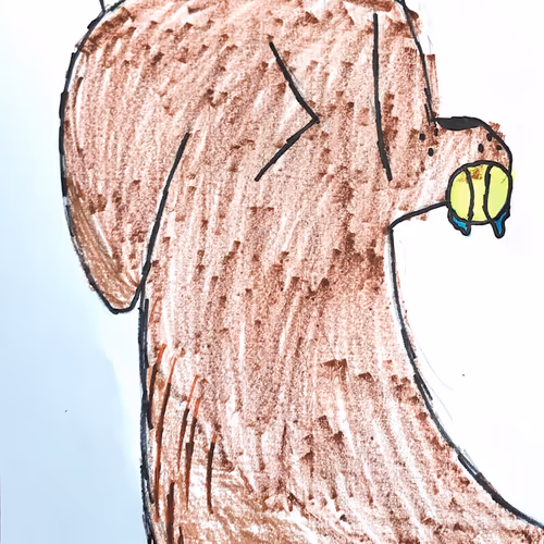 random drawings of teddy