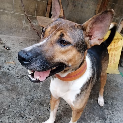 Random edit and non-edit pictures