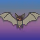 Random-RayIt