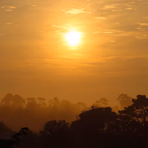 Random Scenes From Life