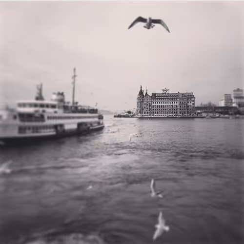 Random Original Photos