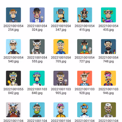 Espace réservé aux médias de l'article