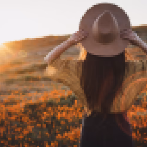 Random pixel works