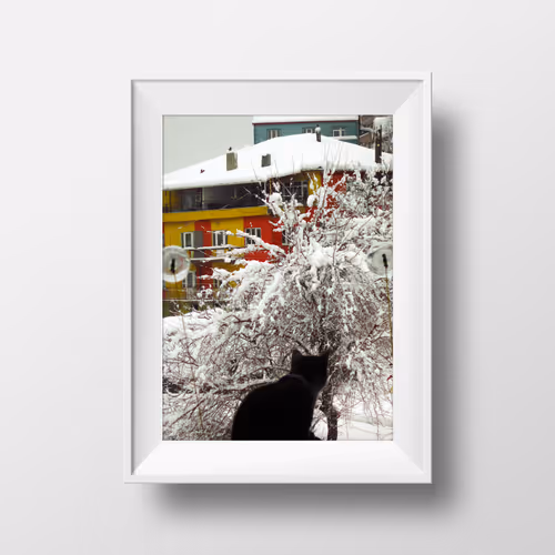 Ran Dom NFT Collection