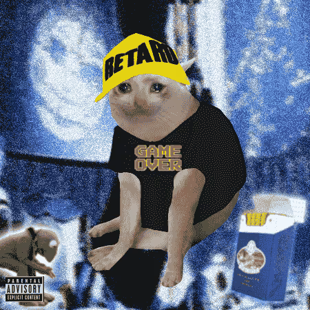 RAOCAT
