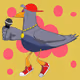 rapper pigeon