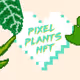 Rare Exotic Pixel Plants - old