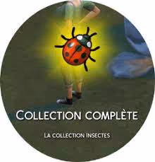 Rare Insects collection