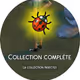 Rare Insects collection