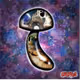 RARE MAGIC MUSHROOMS
