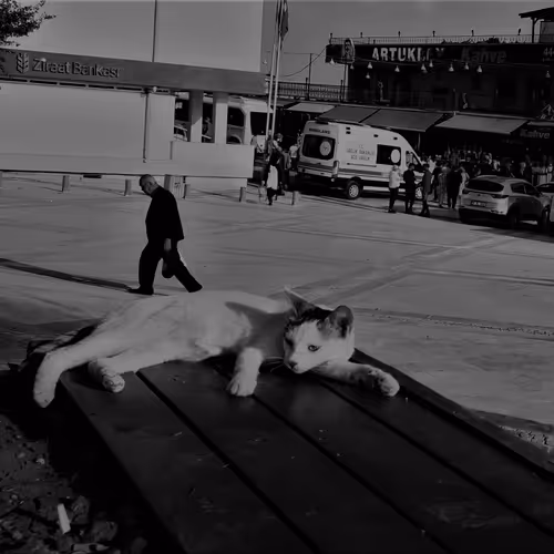 Rare Moments by Techtomi - old V3