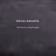 Rare Royal Knights - old