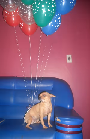 Rare Sights - NFTphotography