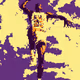 Rare Sports - old
